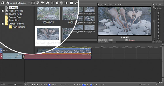Step 1: Import Your .MOV File