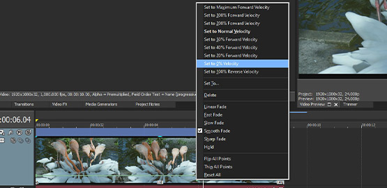 STEP 2: Set a Freeze Frame Manually