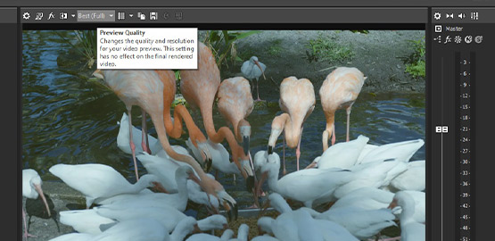 STEP 3: Choose Your Freeze Frame