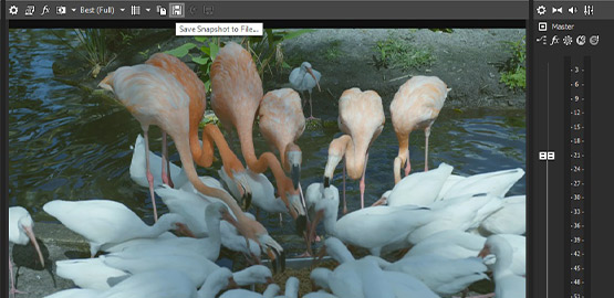 STEP 4: Save a Snapshot to File