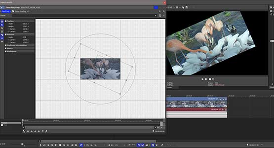 Step 3: Rotate the Image