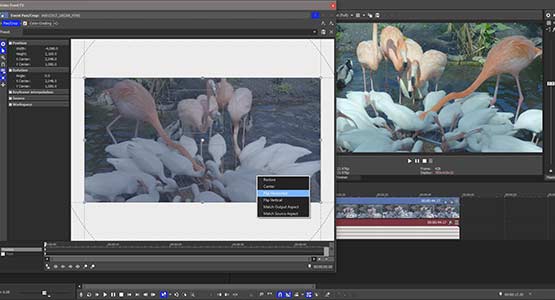 Step 4: Flip the Image