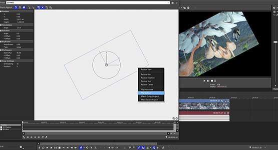 Step 8: Flip the Image